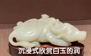 最近突然爱上了和田玉,整理相册发现了之前在苏博拍的白玉文物,太润太