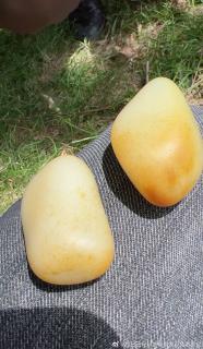 新疆和田玉籽料原石.两枚玩料,127g